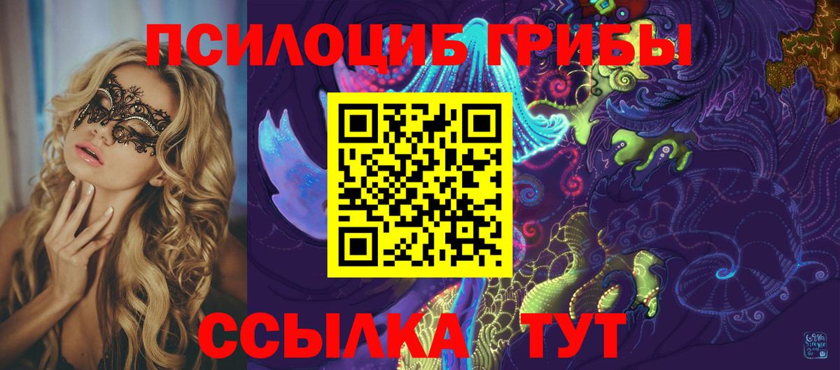 Железноводск  Псилоцибиновые грибы MAGIC MUSHROOMS  Псилоцибиновые грибы мицелий  Вход с VPN 